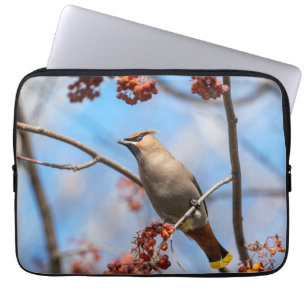Housse Pour Ordinateur Portable Photographie Aviaire, Jaseur boréal