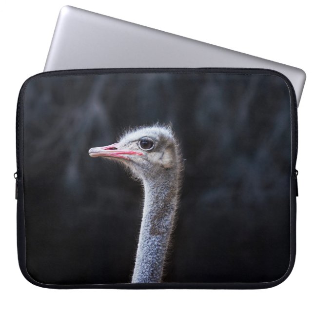 Housse Pour Ordinateur Portable Photographie d'autruche (Devant)