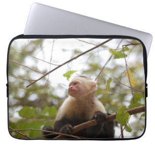 Housse Pour Ordinateur Portable Photographie de singe, Capucin à visage blanc