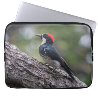 Housse pour ordinateur portable Pic Woodpecker | A