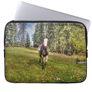 Housse Pour Ordinateur Portable Pinto Ranch Horse Courant dans un champ boisé
