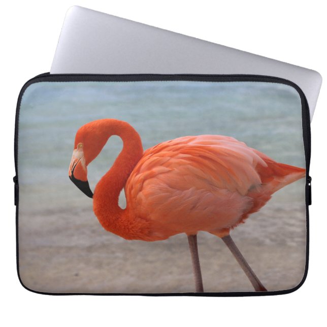 Housse Pour Ordinateur Portable Plages tropicales | Flamant rose des Caraïbes, Aru (Devant)
