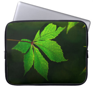 Housse Pour Ordinateur Portable Plante de texture motif de la feuille