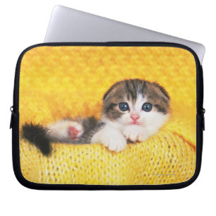 Housse Pour Ordinateur Portable Pli d'écossais ; est une race de chat avec un