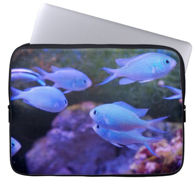 Housse Pour Ordinateur Portable Poisson bleu tropical (Devant)