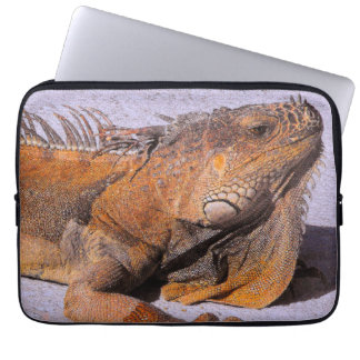 Housse Pour Ordinateur Portable Portrait de l'Iguana