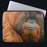Housse Pour Ordinateur Portable Portrait d'un orang-outan mâle, Géorgie, États-Uni<br><div class="desc">Portrait d'un orang-outan mâle (Pongo pygmaeus),  Géorgie,  États-Unis</div>