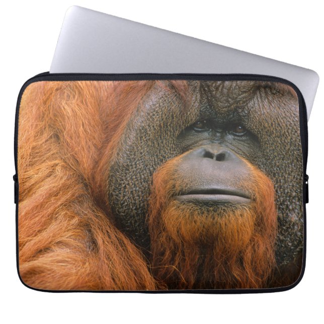 Housse Pour Ordinateur Portable Portrait d'un orang-outan mâle, Géorgie, États-Uni (Devant)