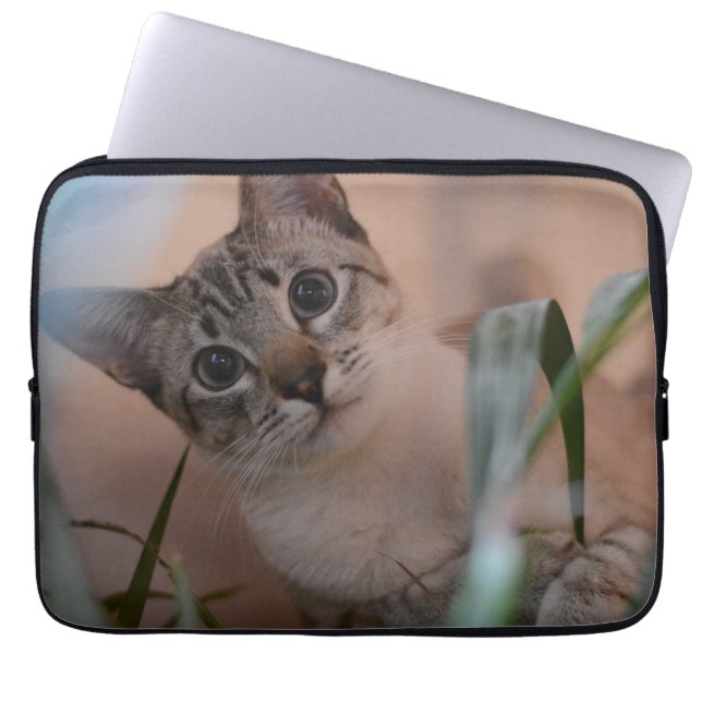 Housse Pour Ordinateur Portable Portrait photo de chat (Devant)