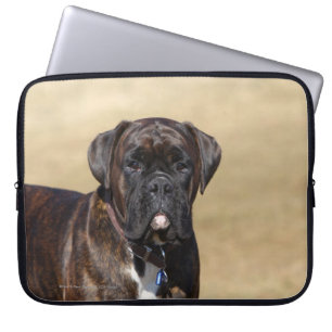 Housse Pour Ordinateur Portable Position Brindle de chien de boxeur