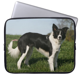 Housse Pour Ordinateur Portable Position de border collie