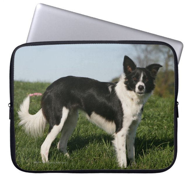Housse Pour Ordinateur Portable Position de border collie (Devant)