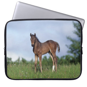 Housse Pour Ordinateur Portable Poulain de pur sang se tenant dans l'herbe