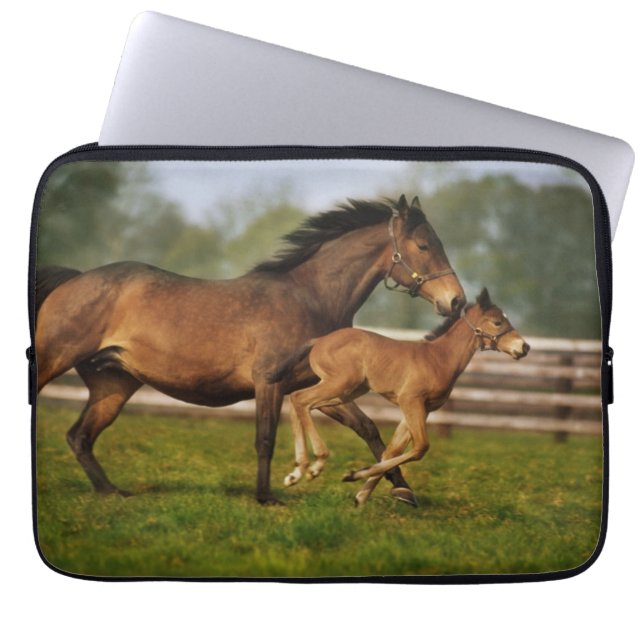 Housse Pour Ordinateur Portable Poulinière Alezan Pur Sang et Poulain (Devant)