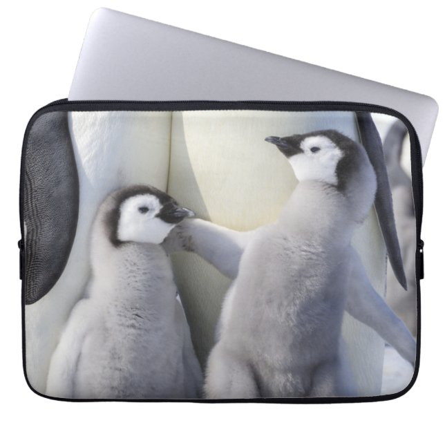 Housse Pour Ordinateur Portable Poussin de pingouin d'empereur (Devant)