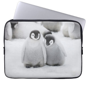 Housse Pour Ordinateur Portable Poussins de Manchot Empereur sur la glace en Antar