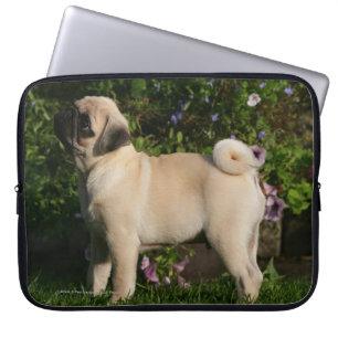 Housse Pour Ordinateur Portable Profil de carlin de faon