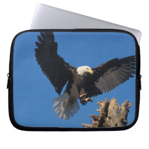Housse Pour Ordinateur Portable pygargue à tête blanche, Haliaeetus leuccocephalus