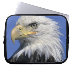 Housse Pour Ordinateur Portable Pygargue à tête blanche, (Haliaeetus leucocephalus