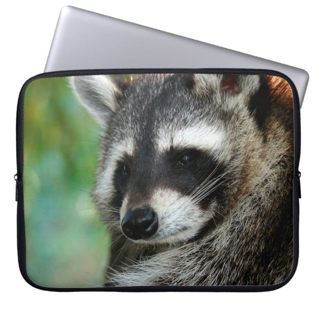 Housse Pour Ordinateur Portable Raccoon 001 (Devant)