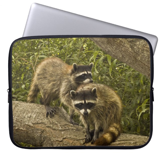 Housse Pour Ordinateur Portable Raccoons (Devant)