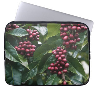 Housse Pour Ordinateur Portable **"Récolte en fleur : haricots à café sur l'arbre"