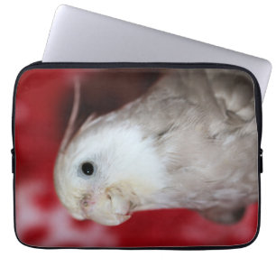 Housse Pour Ordinateur Portable Reeples