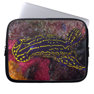 Housse Pour Ordinateur Portable Regal Sea Goddess Nudibranche Felimare picta