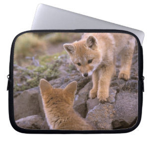 Housse Pour Ordinateur Portable Renard gris d'Amérique du Sud (Lycalopex griseus)