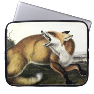 Housse Pour Ordinateur Portable Renard rouge américain, Vulpes vulpes fulvus par A
