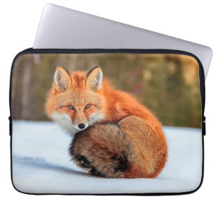 Housse Pour Ordinateur Portable Renard roux dans la neige   Yukon