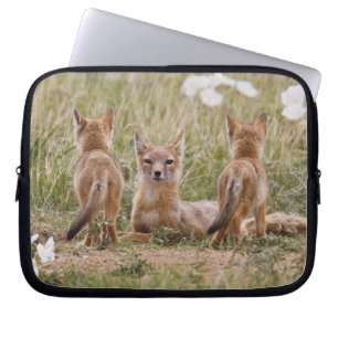 Housse Pour Ordinateur Portable Renard swift (Vulpes velox) femelle avec des jeune