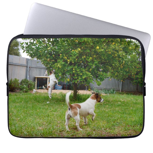 Housse Pour Ordinateur Portable Renard Terrier sautant dans un arbre, (Devant)