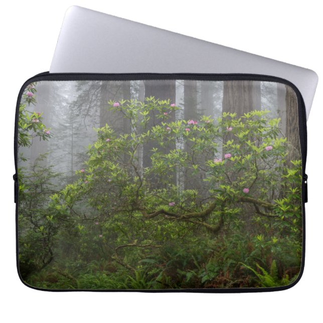Housse Pour Ordinateur Portable Rhododendron dans le parc national de Redwood en C (Devant)