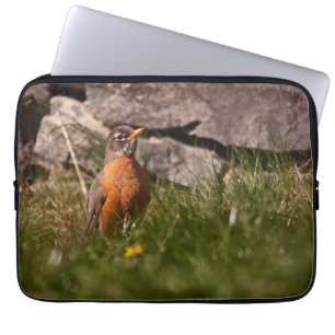 Housse Pour Ordinateur Portable Robin américain