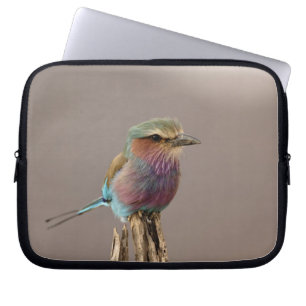Housse Pour Ordinateur Portable Rollier à poitrine lilas, Coracias caudata, Sambur