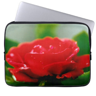 Housse Pour Ordinateur Portable Rose rouge du matin recouverte de gouttes de rosée