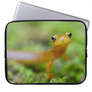 Housse Pour Ordinateur Portable Salamandre de Longtail