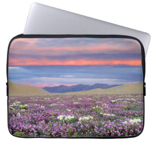 Housse Pour Ordinateur Portable Sand Verbena et fleurs sauvages de Dune Primrose a