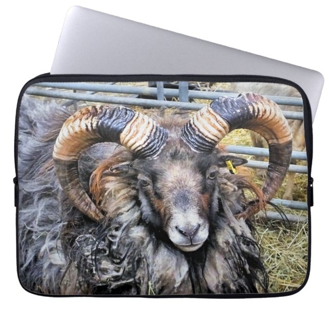 HOUSSE POUR ORDINATEUR PORTABLE SHEEP (Devant)