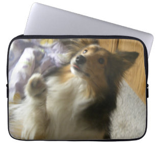 Housse Pour Ordinateur Portable Shetland Sheepdog qui mendie