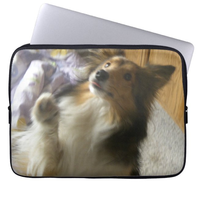 Housse Pour Ordinateur Portable Shetland Sheepdog qui mendie (Devant)