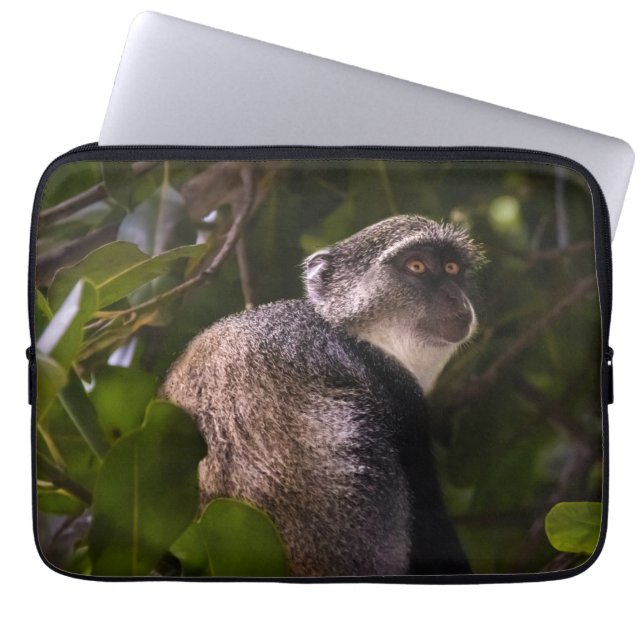 Housse Pour Ordinateur Portable Singe bleu, Zanzibar (Devant)