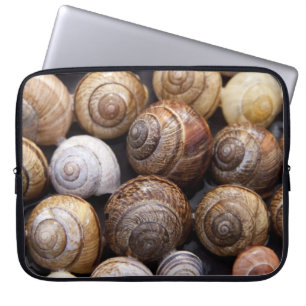 Housse Pour Ordinateur Portable Snail Shells