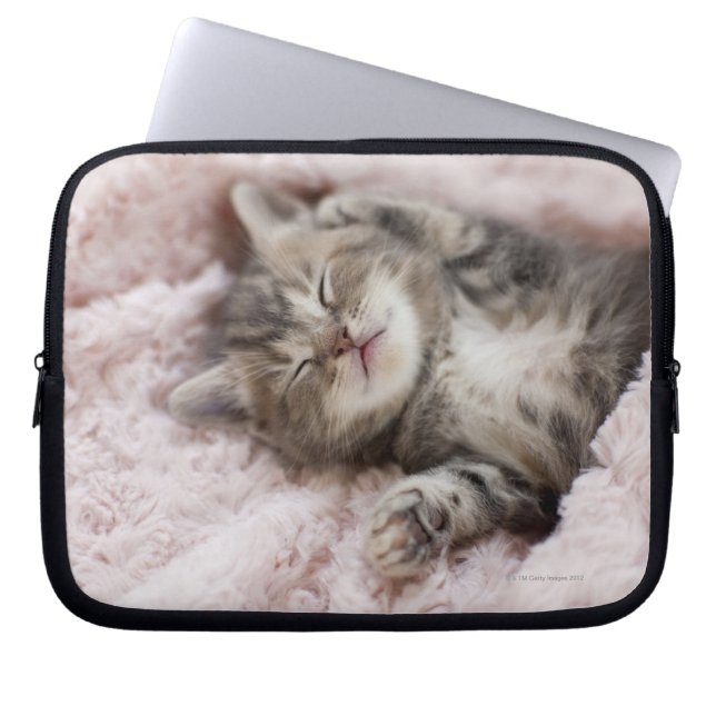 Housse Pour Ordinateur Portable Sommeil de chaton (Devant)