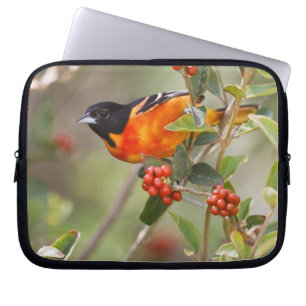 Housse Pour Ordinateur Portable South Padre Island, Texas, États-Unis, Oriole de B