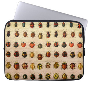 Housse Pour Ordinateur Portable Spécimen de coccinelle vintage Motif Insecte antiq