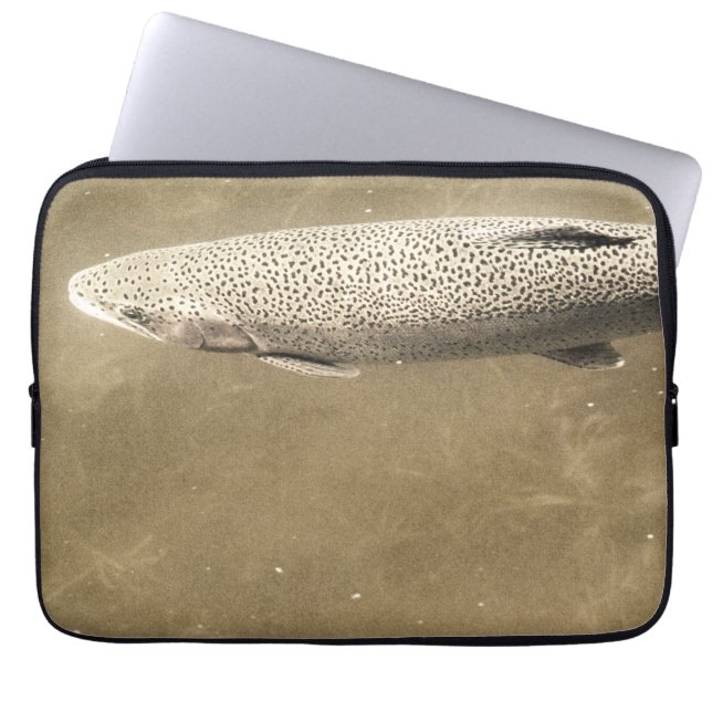 Housse Pour Ordinateur Portable Speckles (Devant)