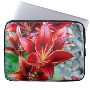 Housse Pour Ordinateur Portable Stargazer Lily, Photographie à fleurs rouges