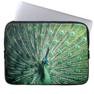 Housse Pour Ordinateur Portable Strut Peacock